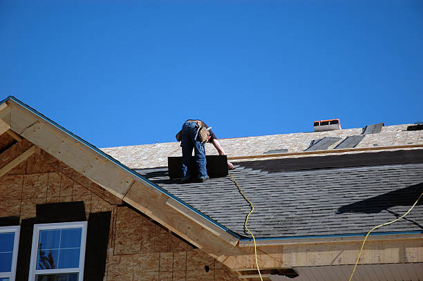 Best Roof Moss and Algae Removal  in Camden, TN