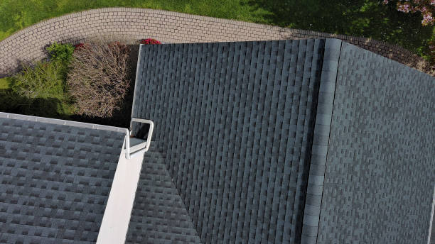 Best Storm Damage Roof Repair  in Camden, TN